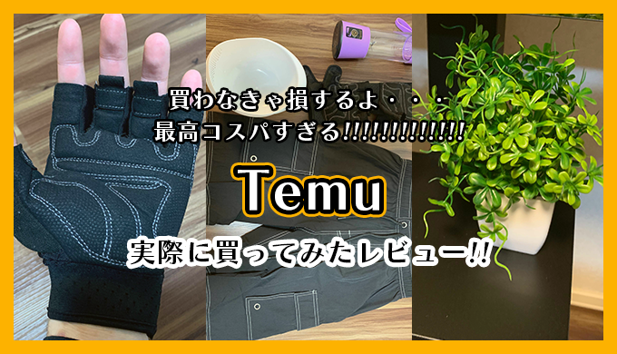 Temu_review_thumb